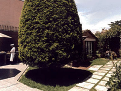 Hotel Casa Zuetana 109 Bogotá